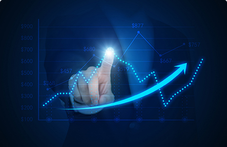 完善制度，规范流程，严格履行信息披露义务