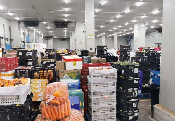 助力民生和医疗物资保供，壹号娱乐抗疫救灾一直在线！